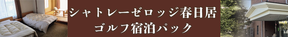 シャトレーゼロッジ春日居