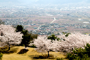 コース風景