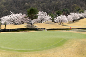 コース風景